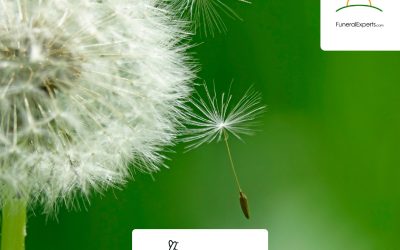 Community Wellbeing Session: Practical & Compassionate Support with Funeral Experts – 26th September 2025
